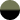 Olive Noir
