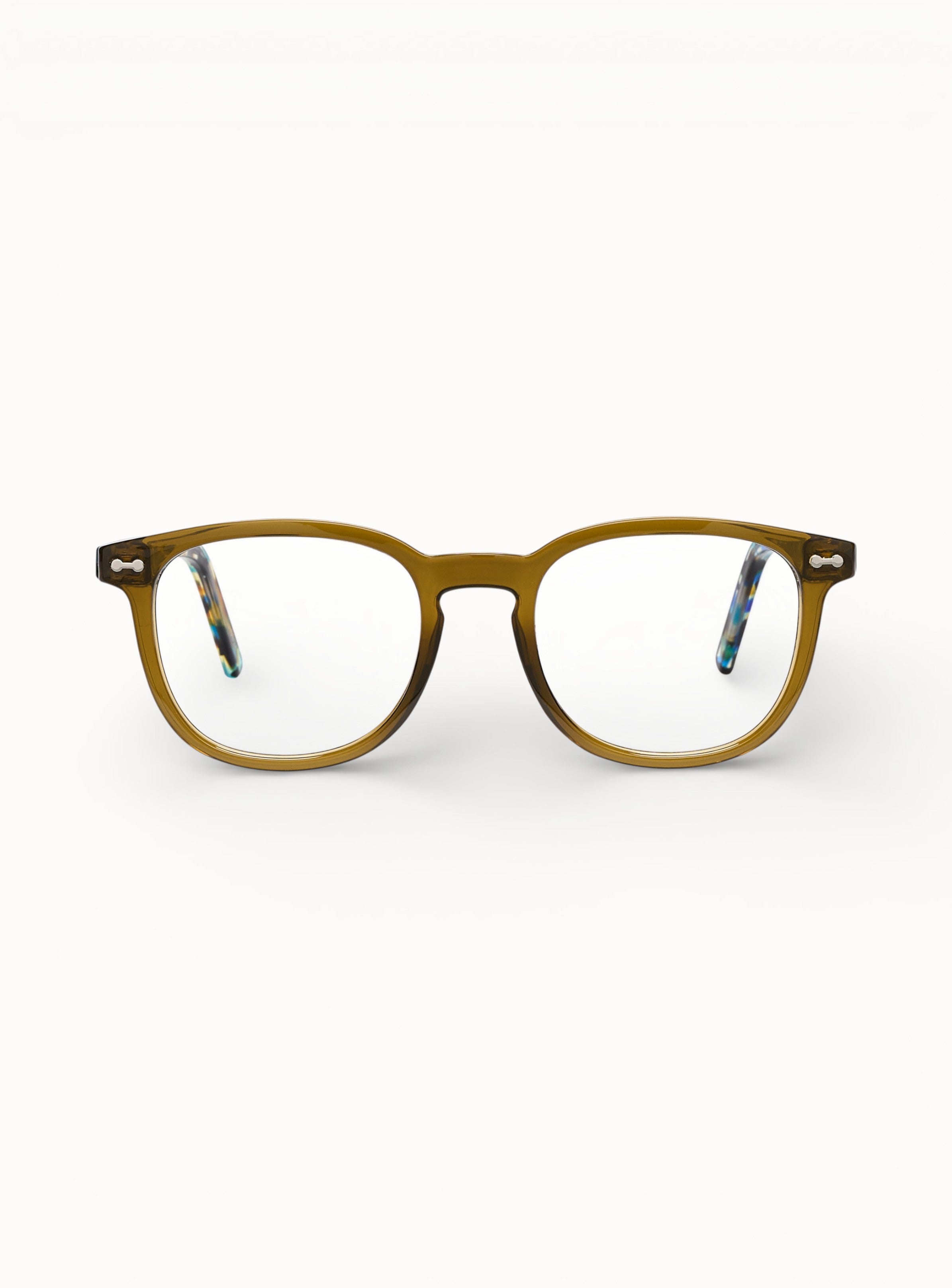 optique-axel-fougere-ecaille-bleute-face
