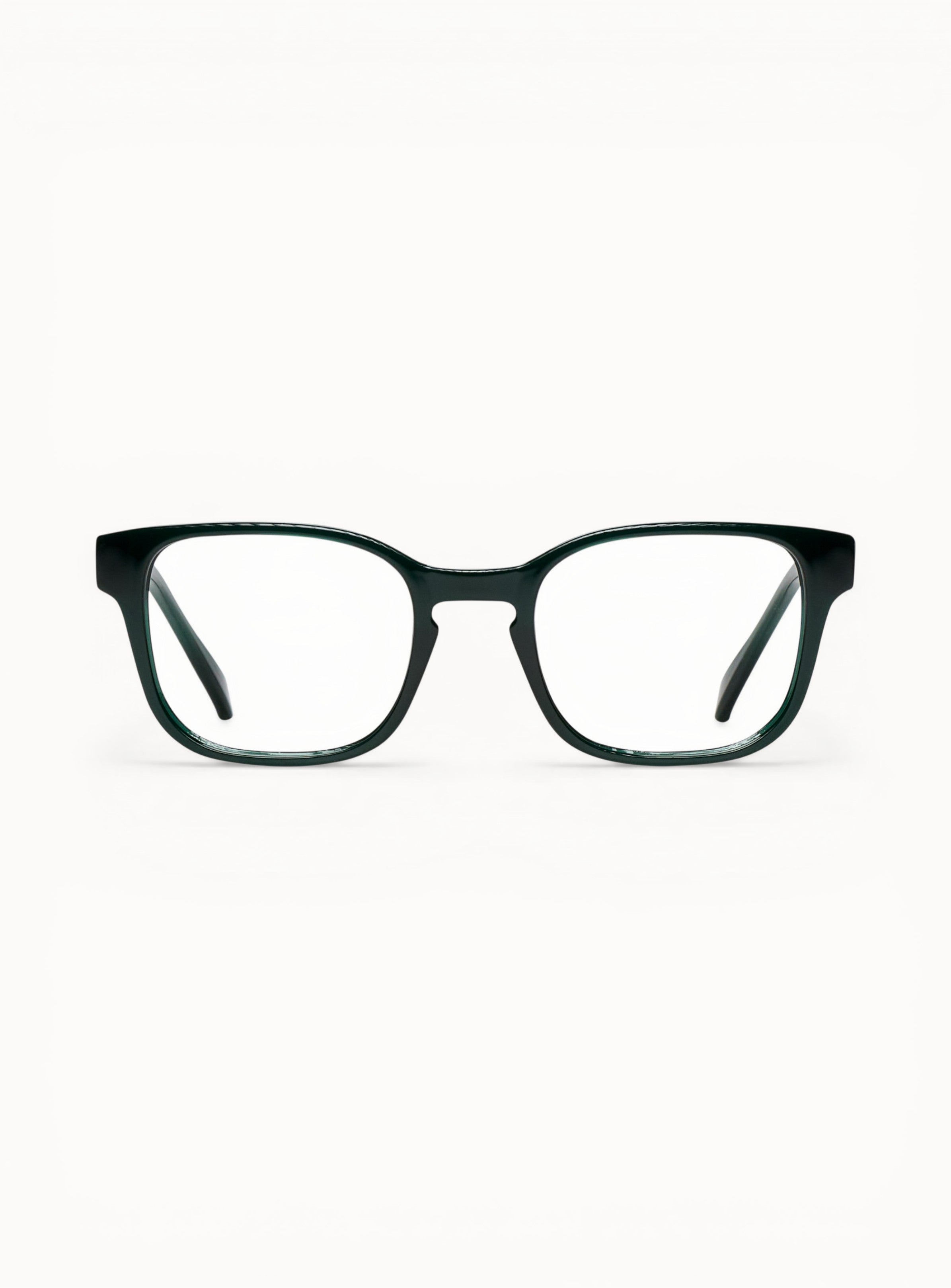 optique-basile-foret-face