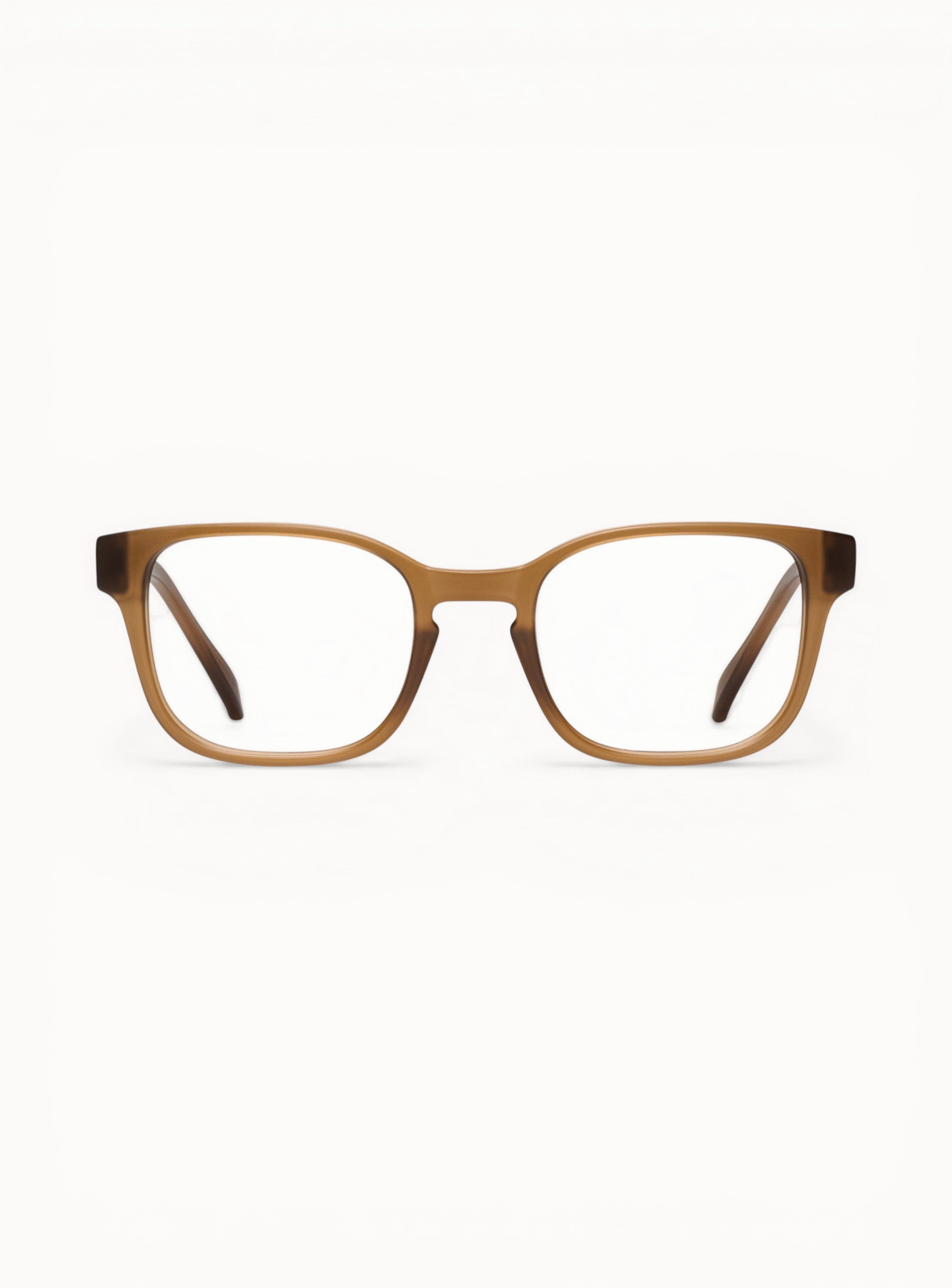optique-basile-noisette-face